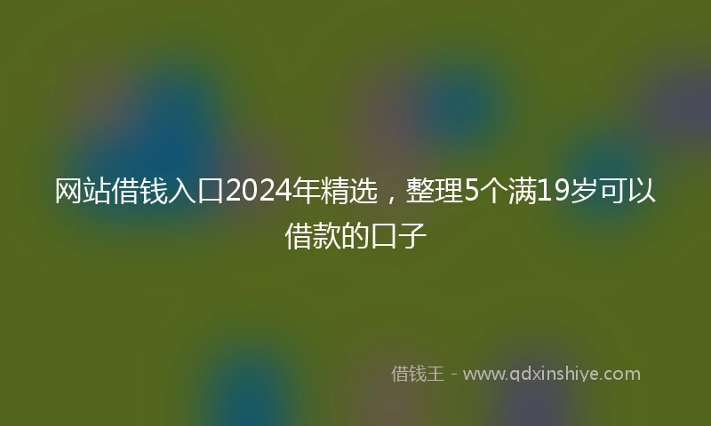 网站借钱入口2024年精选，整理5个满19岁可以借款的口子