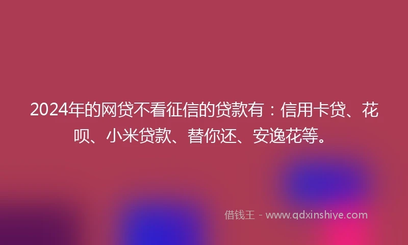 2024年的网贷不看征信的贷款有：信用卡贷、花呗、小米贷款、替你还、安逸花等。