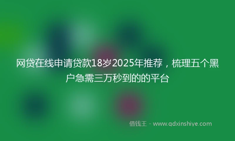 网贷在线申请贷款18岁2025年推荐，梳理五个黑户急需三万秒到的的平台