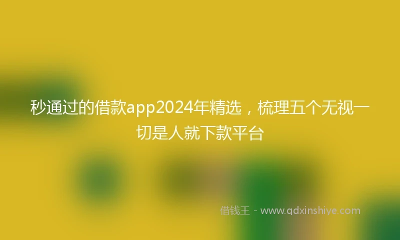 秒通过的借款app2024年精选，梳理五个无视一切是人就下款平台