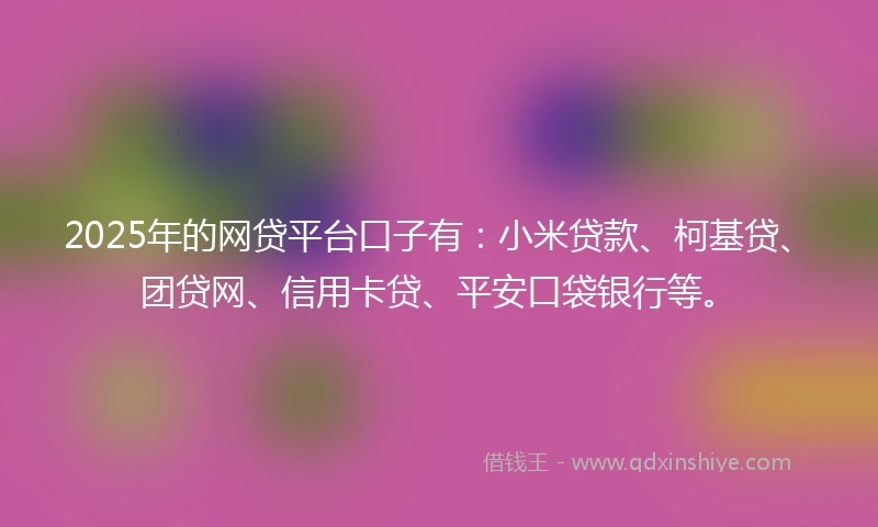 2025年的网贷平台口子有：小米贷款、柯基贷、团贷网、信用卡贷、平安口袋银行等。