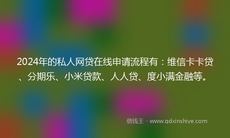 2024年的私人网贷在线申请流程有：维信卡卡贷、分期乐、小米贷款、人人贷、度小满金融等。