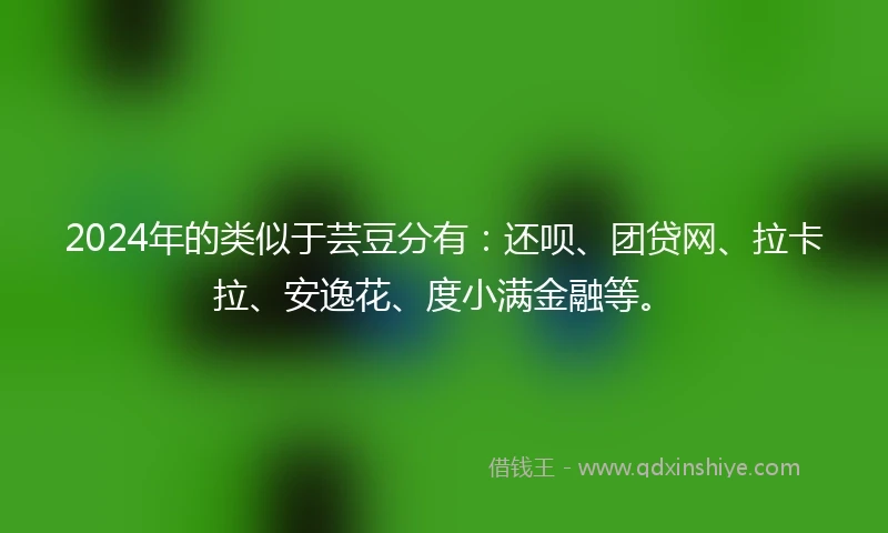 2024年的类似于芸豆分有：还呗、团贷网、拉卡拉、安逸花、度小满金融等。