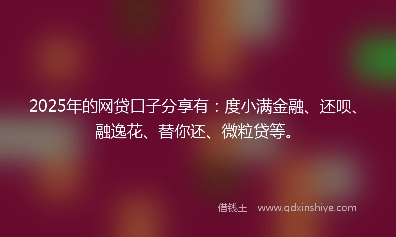 2025年的网贷口子分享有：度小满金融、还呗、融逸花、替你还、微粒贷等。