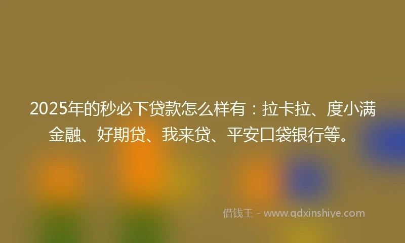 2025年的秒必下贷款怎么样有：拉卡拉、度小满金融、好期贷、我来贷、平安口袋银行等。
