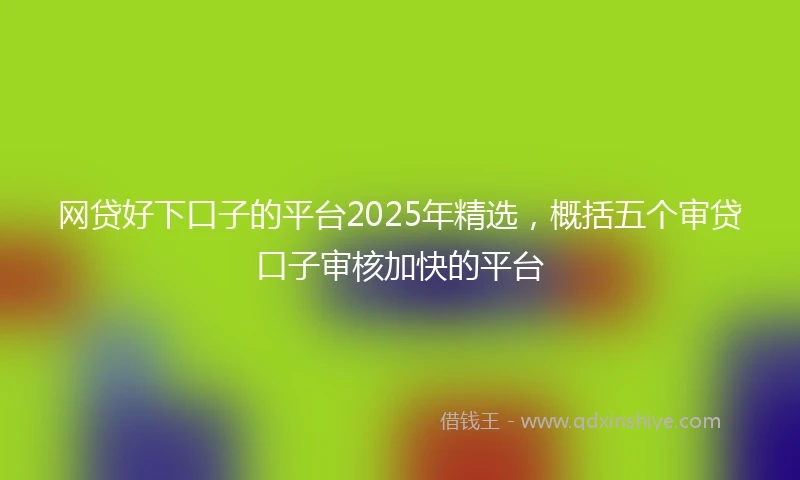 网贷好下口子的平台2025年精选，概括五个审贷口子审核加快的平台