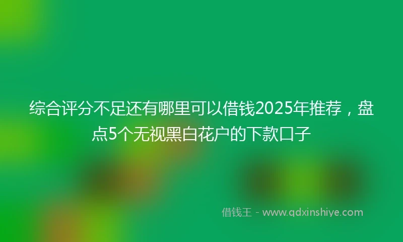 综合评分不足还有哪里可以借钱2025年推荐，盘点5个无视黑白花户的下款口子