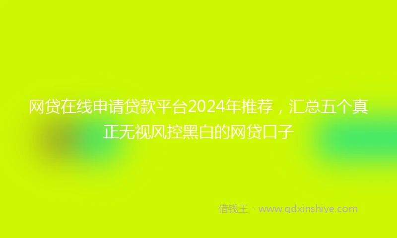 网贷在线申请贷款平台2024年推荐，汇总五个真正无视风控黑白的网贷口子