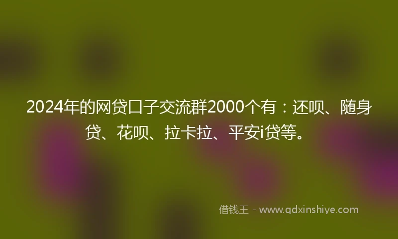 2024年的网贷口子交流群2000个有：还呗、随身贷、花呗、拉卡拉、平安i贷等。