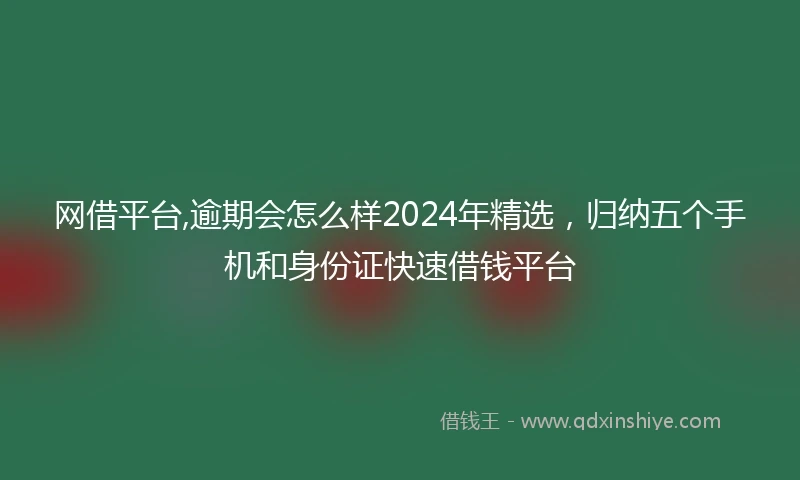 网借平台,逾期会怎么样2024年精选，归纳五个手机和身份证快速借钱平台