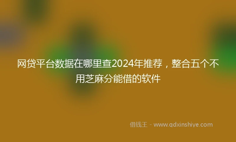 网贷平台数据在哪里查2024年推荐，整合五个不用芝麻分能借的软件