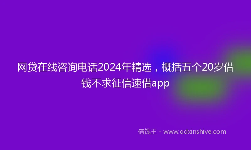 网贷在线咨询电话2024年精选,概括五个20岁借钱不求征信速借app