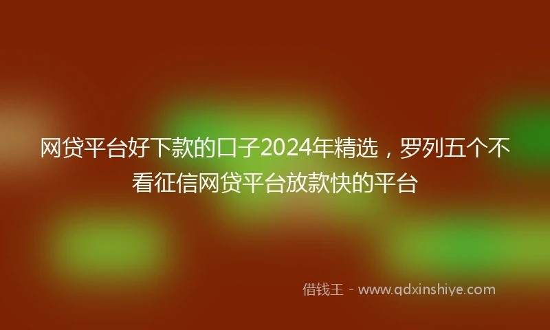 网贷平台好下款的口子2024年精选，罗列五个不看征信网贷平台放款快的平台