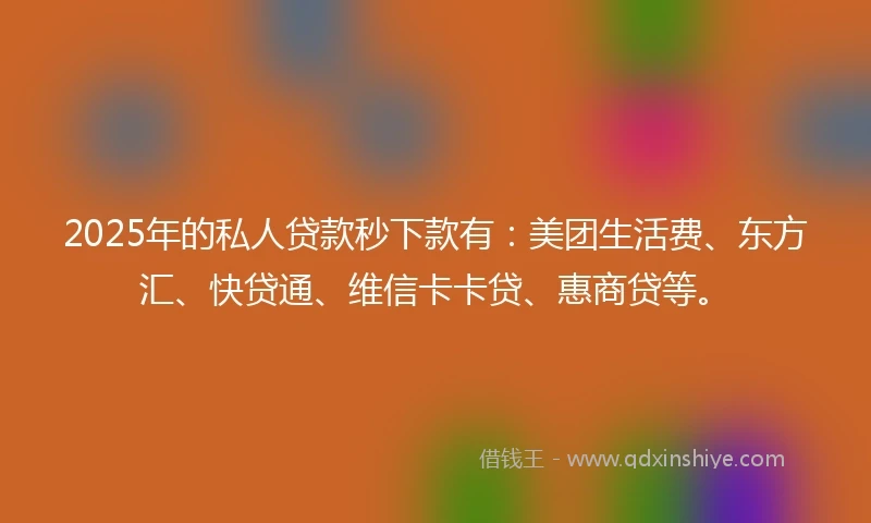 2025年的私人贷款秒下款有：美团生活费、东方汇、快贷通、维信卡卡贷、惠商贷等。