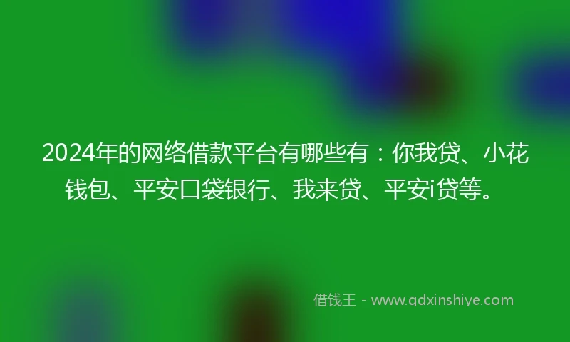 2024年的网络借款平台有哪些有：你我贷、小花钱包、平安口袋银行、我来贷、平安i贷等。