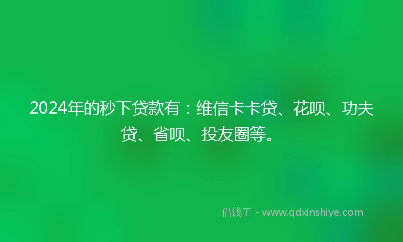 2024年的秒下贷款有：维信卡卡贷、花呗、功夫贷、省呗、投友圈等。