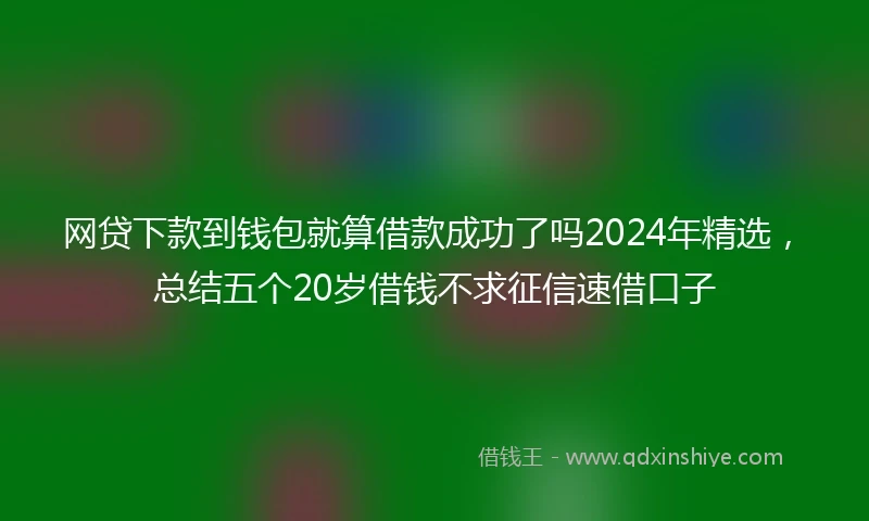 网贷下款到钱包就算借款成功了吗2024年精选，总结五个20岁借钱不求征信速借口子