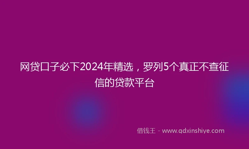 网贷口子必下2024年精选，罗列5个真正不查征信的贷款平台