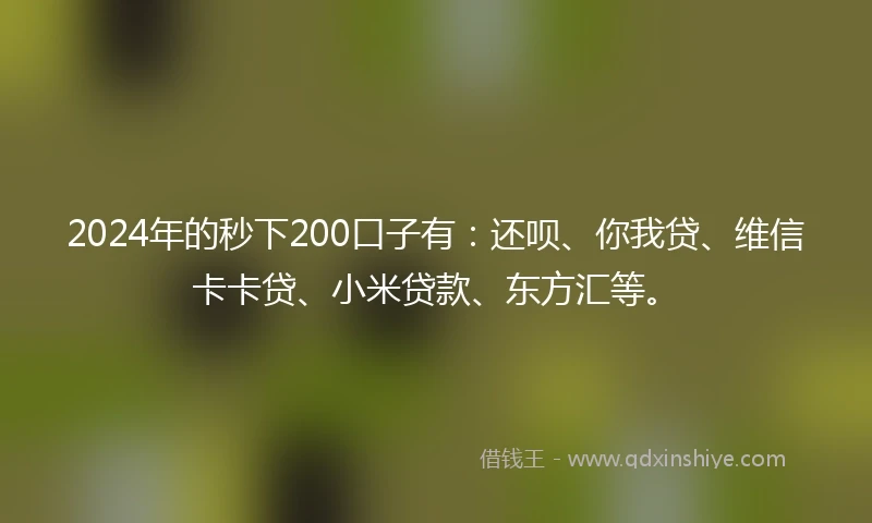 2024年的秒下200口子有：还呗、你我贷、维信卡卡贷、小米贷款、东方汇等。