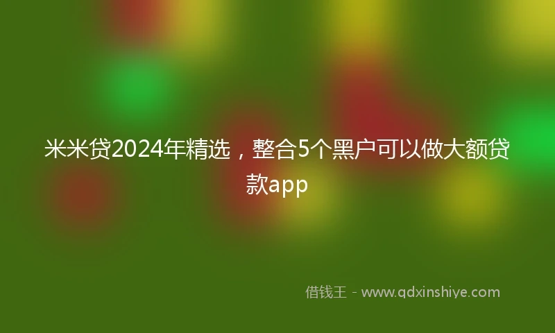 米米贷2024年精选，整合5个黑户可以做大额贷款app