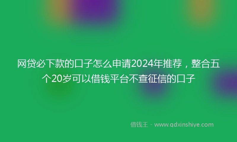 网贷必下款的口子怎么申请2024年推荐，整合五个20岁可以借钱平台不查征信的口子