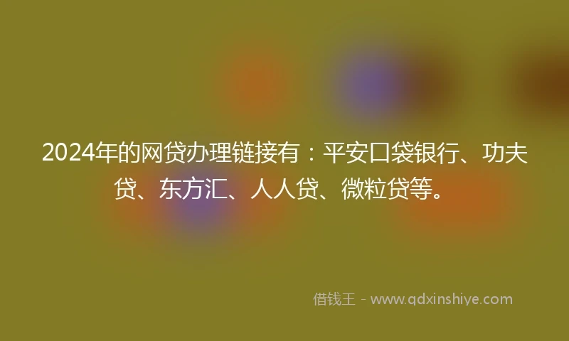 2024年的网贷办理链接有：平安口袋银行、功夫贷、东方汇、人人贷、微粒贷等。
