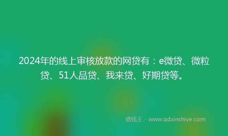 2024年的线上审核放款的网贷有：e微贷、微粒贷、51人品贷、我来贷、好期贷等。
