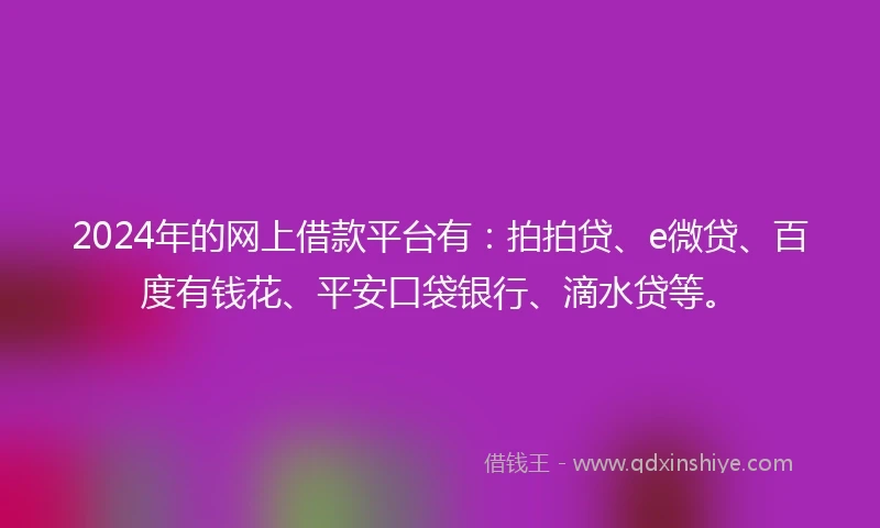 2024年的网上借款平台有：拍拍贷、e微贷、百度有钱花、平安口袋银行、滴水贷等。