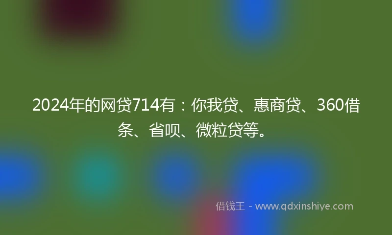 2024年的网贷714有：你我贷、惠商贷、360借条、省呗、微粒贷等。