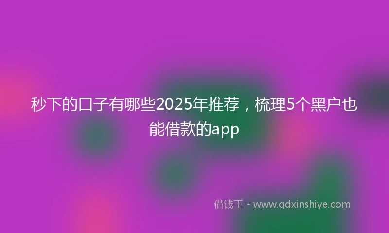 秒下的口子有哪些2025年推荐，梳理5个黑户也能借款的app