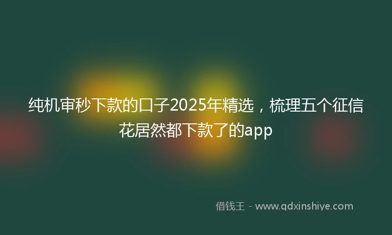 纯机审秒下款的口子2025年精选，梳理五个征信花居然都下款了的app