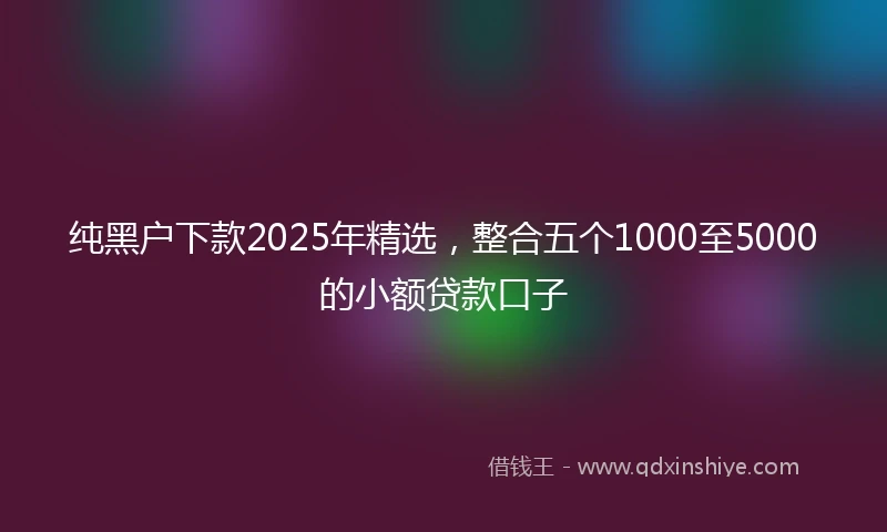 纯黑户下款2025年精选，整合五个1000至5000的小额贷款口子