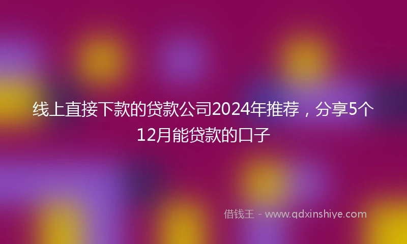 线上直接下款的贷款公司2024年推荐，分享5个12月能贷款的口子