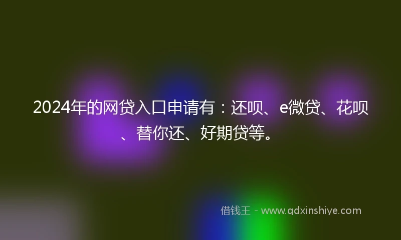 2024年的网贷入口申请有：还呗、e微贷、花呗、替你还、好期贷等。