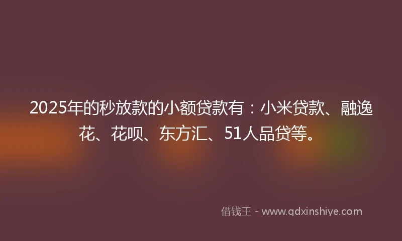 2025年的秒放款的小额贷款有：小米贷款、融逸花、花呗、东方汇、51人品贷等。
