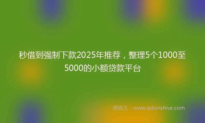 秒借到强制下款2025年推荐，整理5个1000至5000的小额贷款平台