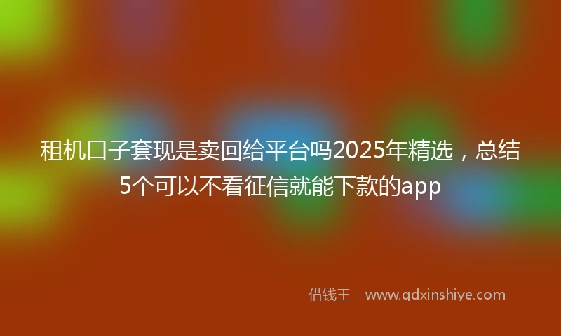 租机口子套现是卖回给平台吗2025年精选，总结5个可以不看征信就能下款的app