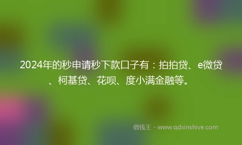 2024年的秒申请秒下款口子有：拍拍贷、e微贷、柯基贷、花呗、度小满金融等。