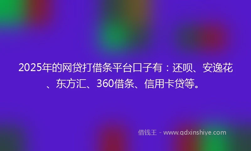 2025年的网贷打借条平台口子有：还呗、安逸花、东方汇、360借条、信用卡贷等。