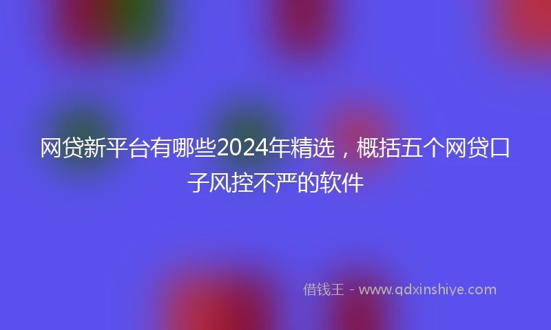 网贷新平台有哪些2024年精选，概括五个网贷口子风控不严的软件