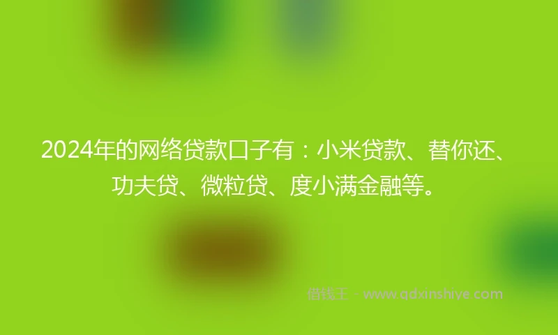 2024年的网络贷款口子有：小米贷款、替你还、功夫贷、微粒贷、度小满金融等。