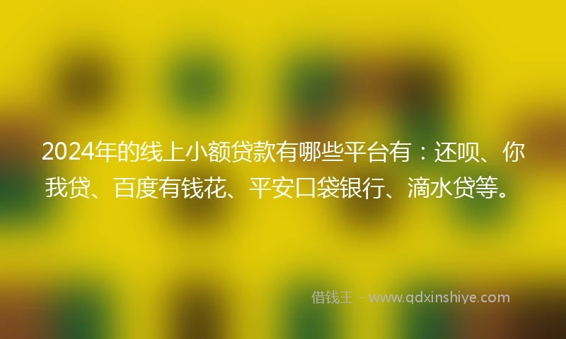 2024年的线上小额贷款有哪些平台有：还呗、你我贷、百度有钱花、平安口袋银行、滴水贷等。