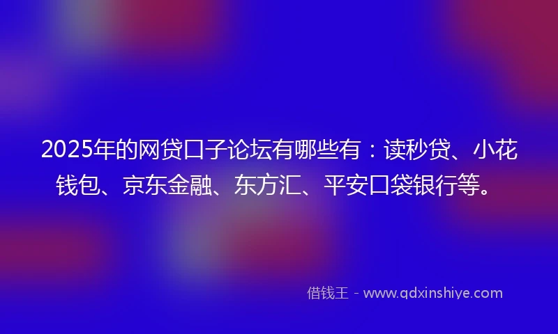 2025年的网贷口子论坛有哪些有：读秒贷、小花钱包、京东金融、东方汇、平安口袋银行等。