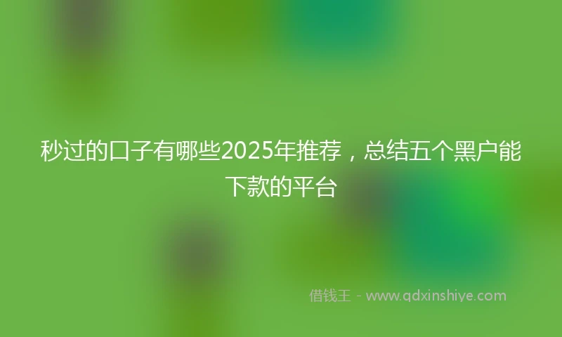 秒过的口子有哪些2025年推荐，总结五个黑户能下款的平台