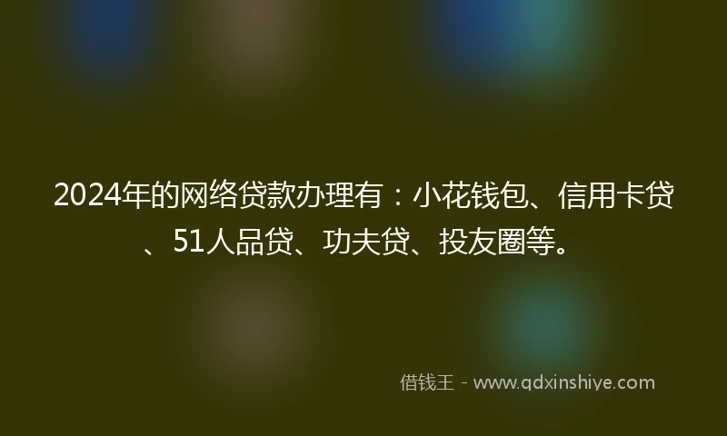 2024年的网络贷款办理有：小花钱包、信用卡贷、51人品贷、功夫贷、投友圈等。