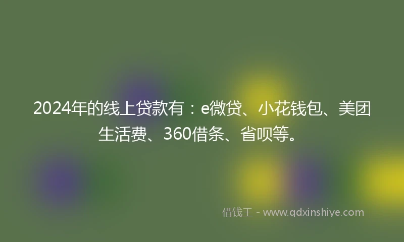 2024年的线上贷款有：e微贷、小花钱包、美团生活费、360借条、省呗等。