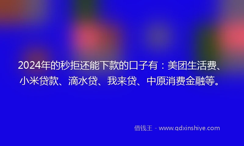 2024年的秒拒还能下款的口子有：美团生活费、小米贷款、滴水贷、我来贷、中原消费金融等。