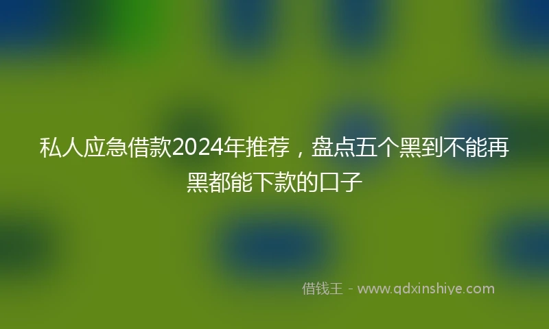 私人应急借款2024年推荐，盘点五个黑到不能再黑都能下款的口子