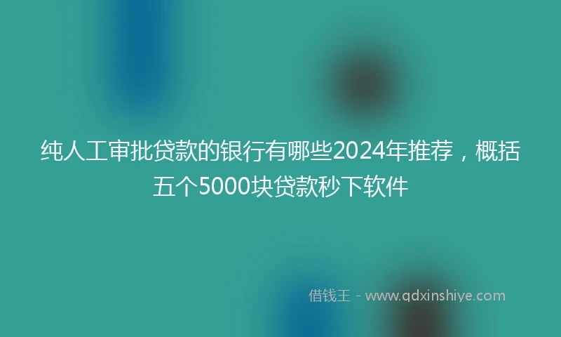 纯人工审批贷款的银行有哪些2024年推荐，概括五个5000块贷款秒下软件