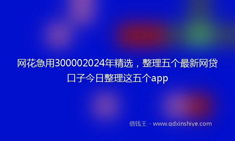 网花急用300002024年精选，整理五个最新网贷口子今日整理这五个app